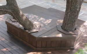Rear view of wooden bench built to hold trees